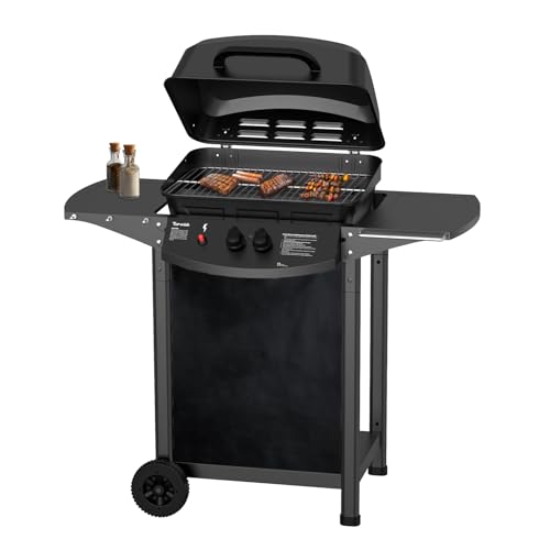 Topwish Gasgrill 2 Brenner, Klein für...